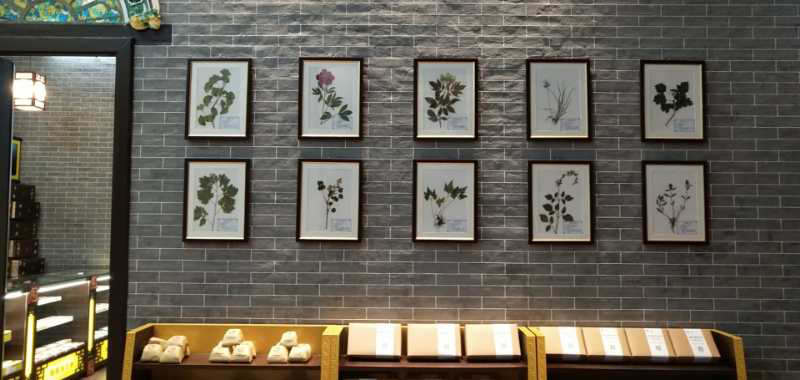 展館效果